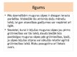 Prezentācija 'Muguras sāpes grūtniecības laikā un pēcdzemdību periodā', 12.