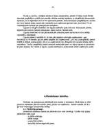 Referāts 'Darbības komplekss uzņēmumā "X"', 18.