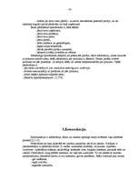 Referāts 'Darbības komplekss uzņēmumā "X"', 19.