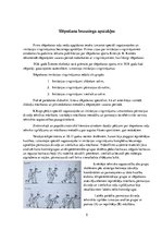 Referāts 'Slēpošana bezsniega apstākļos', 5.