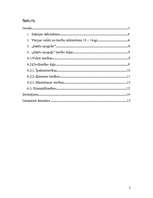 Referāts 'Sakšu spogulis', 2.