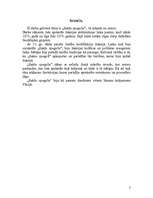 Referāts 'Sakšu spogulis', 3.