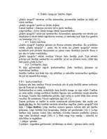 Referāts 'Sakšu spogulis', 7.