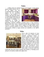 Prezentācija 'Krāsu analizēšana virtuves interjerā', 6.