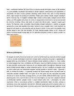 Konspekts 'Lapegle', 5.