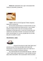 Referāts 'Siers', 10.