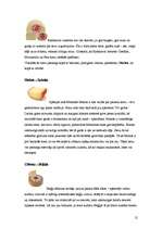 Referāts 'Siers', 12.