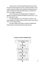 Referāts 'Siers', 14.