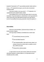 Referāts 'Siers', 18.