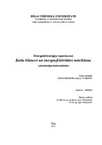 Paraugs 'Katlumājas katla bilances un energoefektivitātes noteikšana', 1.