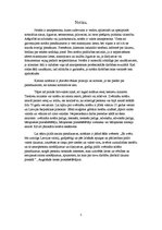 Referāts 'Juristu darbības veidi', 5.