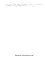 Referāts 'Relativitātes teorija', 2.