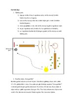 Konspekts 'Sporta nodarbība 5-6 gadīgiem bērniem - „Dzīvnieki”', 6.