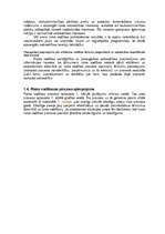 Referāts 'Pārbaudes, izpētes un riska vadīšanas īstenošana', 3.