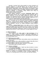 Referāts 'Pārbaudes, izpētes un riska vadīšanas īstenošana', 10.