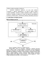 Referāts 'Pārbaudes, izpētes un riska vadīšanas īstenošana', 11.