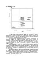 Referāts 'Pārbaudes, izpētes un riska vadīšanas īstenošana', 16.