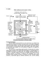 Referāts 'Pārbaudes, izpētes un riska vadīšanas īstenošana', 32.