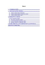 Referāts 'Informāciju tehnoloģijas pielietojums skolotāja profesijā', 1.