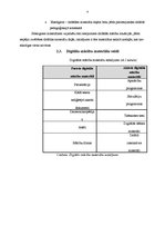 Referāts 'Informāciju tehnoloģijas pielietojums skolotāja profesijā', 4.