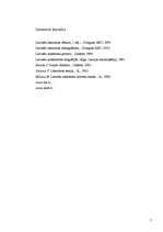 Referāts 'Reālistiskās prozas īpatnības latviešu literatūrā 20.gs. sākumā', 7.