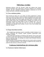 Biznesa plāns 'SIA “Rumaks”', 3.