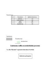 Biznesa plāns 'SIA “Rumaks”', 6.