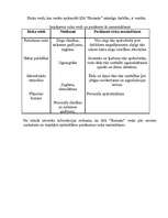 Biznesa plāns 'SIA “Rumaks”', 9.