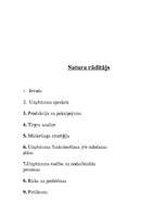 Biznesa plāns 'SIA “Rumaks”', 12.