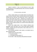 Diplomdarbs 'Latvijas azartspēļu tirgus analīze', 32.