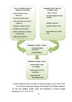 Diplomdarbs 'Latvijas azartspēļu tirgus analīze', 41.