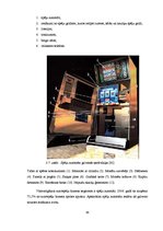 Diplomdarbs 'Latvijas azartspēļu tirgus analīze', 64.