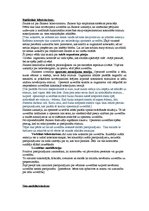 Prezentācija 'Biheiviorisms', 17.