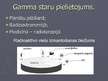 Prezentācija 'Gamma stari', 9.