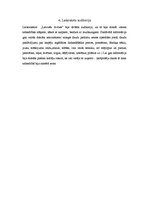 Referāts 'Laikraksts "Latviešu Avīzes"', 5.