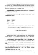 Referāts 'Uzņēmuma SIA "Spilva" reklāmas izteiksmes līdzekļi', 11.