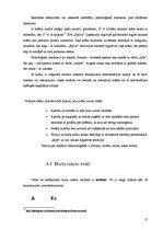 Referāts 'Uzņēmuma SIA "Spilva" reklāmas izteiksmes līdzekļi', 17.