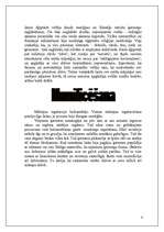 Referāts 'Senie ēģiptieši', 8.