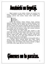 Referāts 'Senie ēģiptieši', 12.