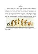 Referāts 'E-bizness', 5.