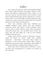 Referāts 'E-bizness', 43.