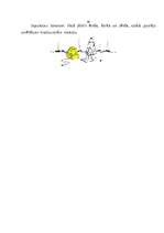 Referāts 'E-bizness', 44.