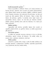 Referāts 'E-bizness', 51.