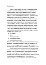 Referāts 'Rotaļa - jaunākā skolas vecuma bērnu muzikālo spēju attīstītāja', 7.