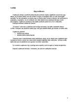 Biznesa plāns 'Biznesa plāns ekonomikā', 4.