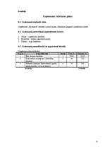 Biznesa plāns 'Biznesa plāns ekonomikā', 10.