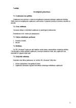 Biznesa plāns 'Biznesa plāns ekonomikā', 11.