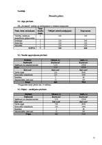 Biznesa plāns 'Biznesa plāns ekonomikā', 13.