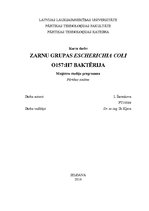 Konspekts 'Zarnu grupas Escherichia coli O157:H7 baktērija', 1.