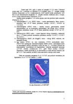 Konspekts 'Zarnu grupas Escherichia coli O157:H7 baktērija', 7.